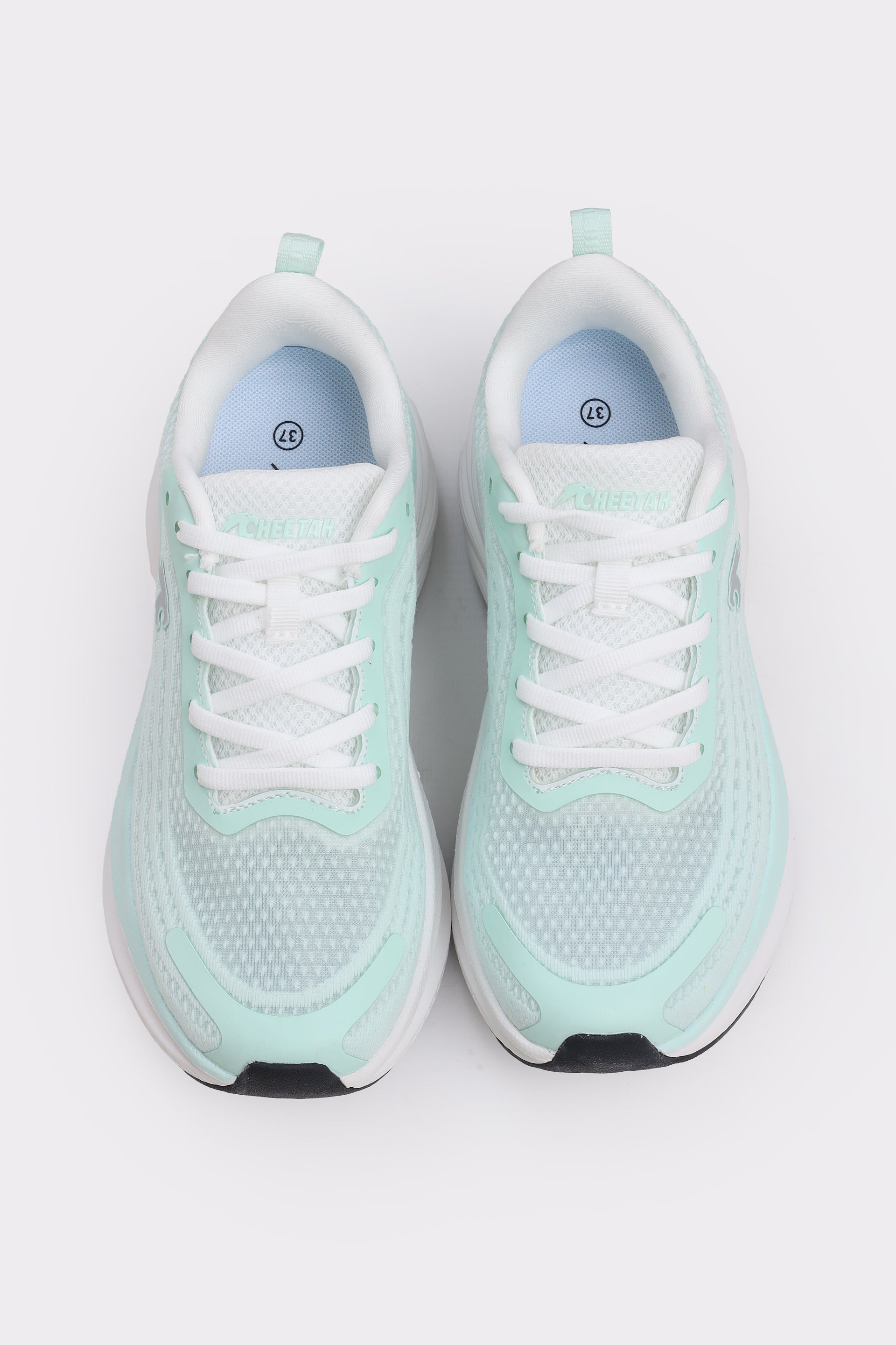 Women Sneakers